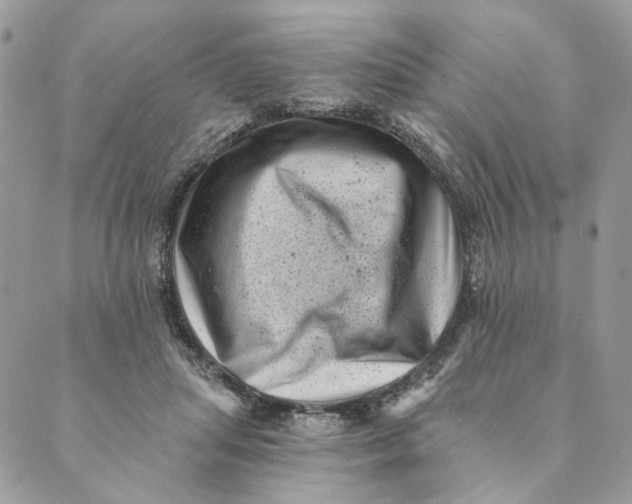 X0000088890455200706291444