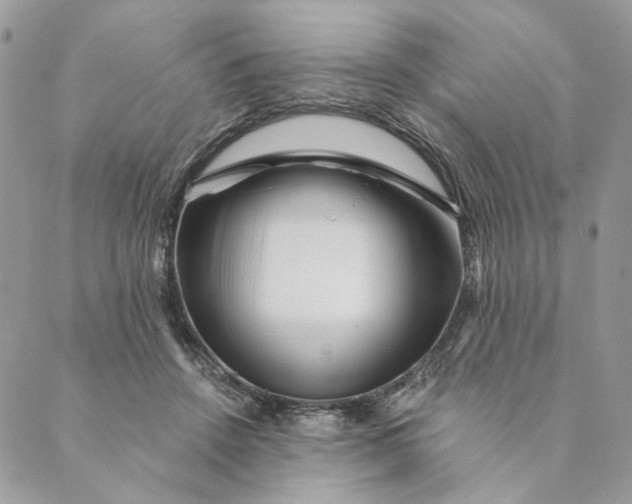 X0000088890456200706291444