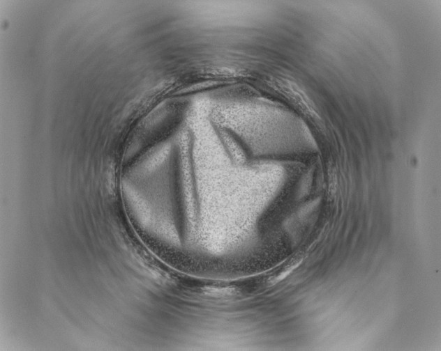 X0000088890457200706291444