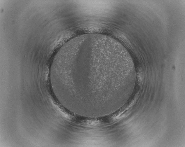 X0000088890458200706291444