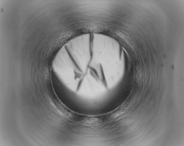 X0000088890459200706291444