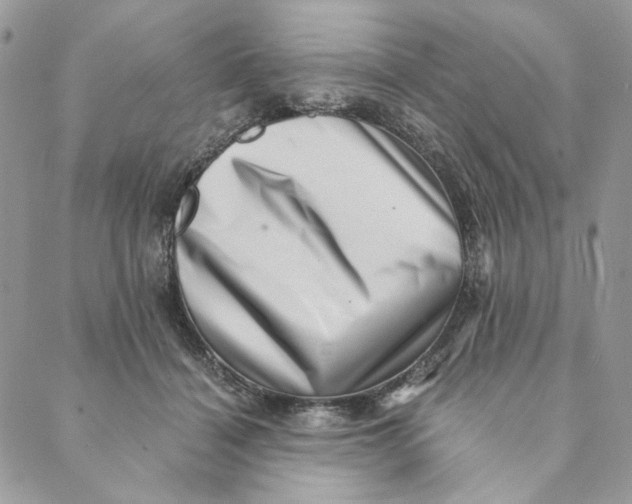 X0000088890460200706291444