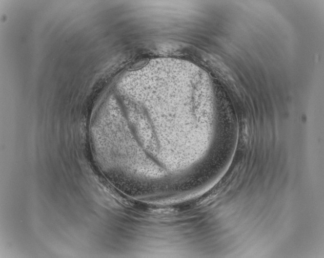 X0000088890461200706291444