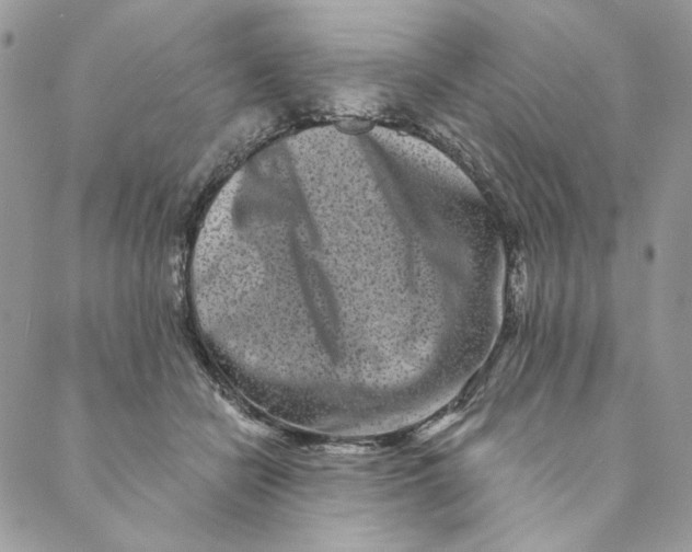 X0000088890462200706291444