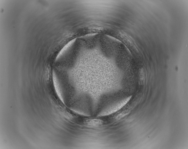 X0000088890463200706291444