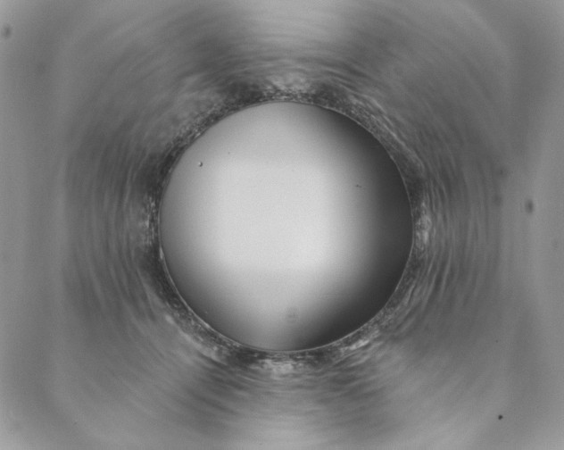 X0000088890464200706291444