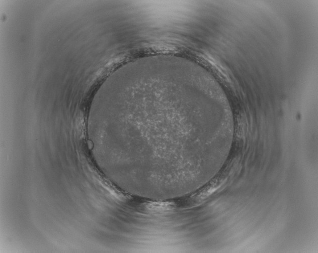 X0000088890465200706291444