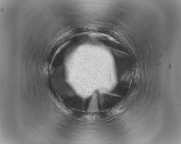 X0000088890466200706291444