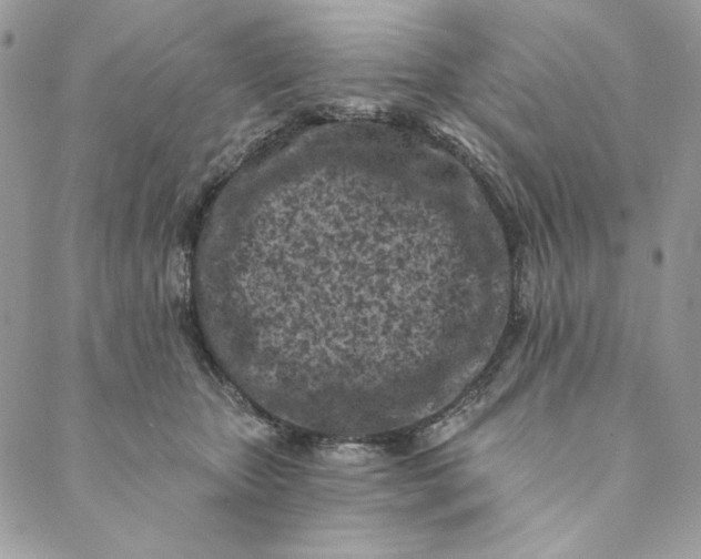 X0000088890467200706291444