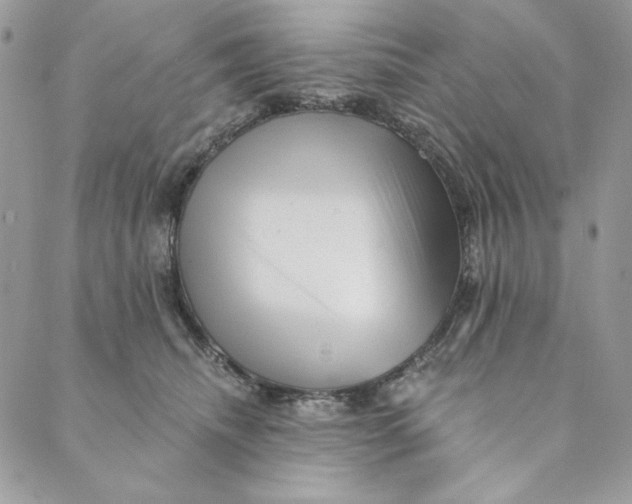 X0000088890468200706291444