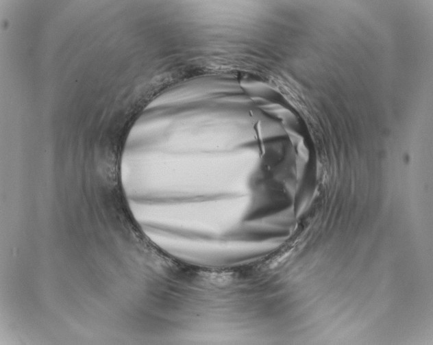 X0000088890469200706291444