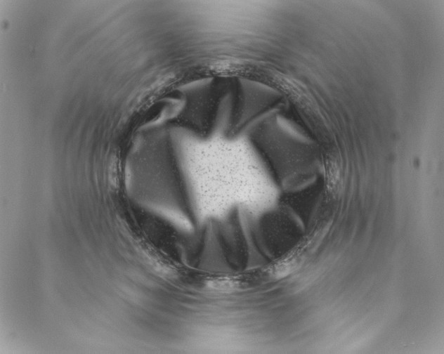 X0000088890470200706291444