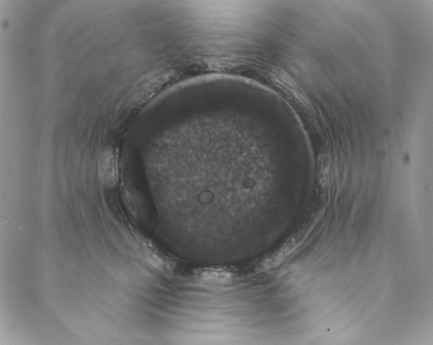 X0000088890471200706291444