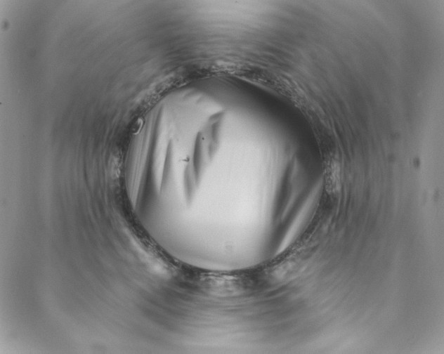 X0000088890472200706291444