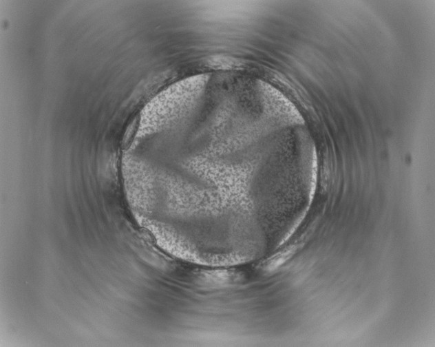 X0000088890473200706291444