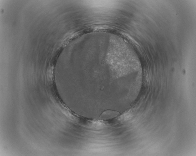 X0000088890475200706291444