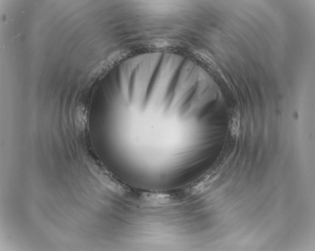 X0000088890476200706291444