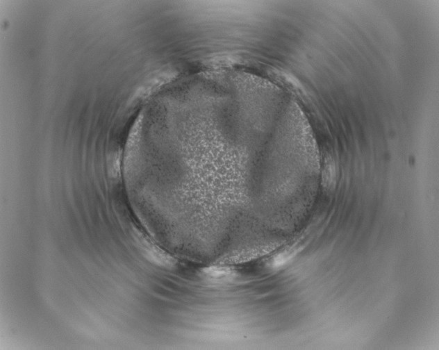 X0000088890477200706291444