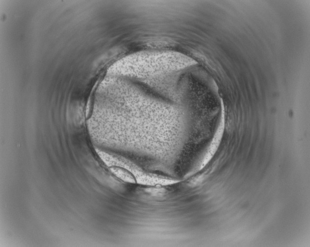 X0000088890478200706291444