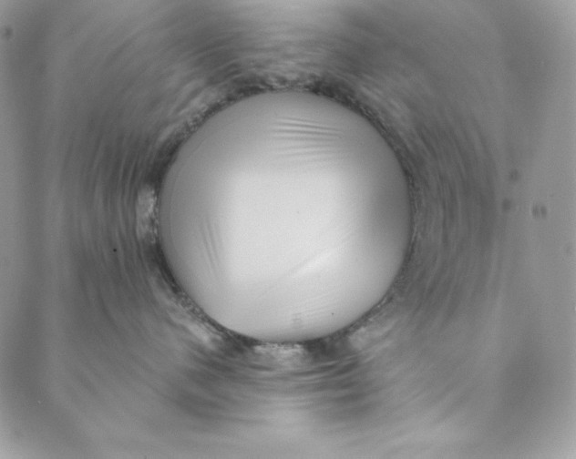 X0000088890480200706291444