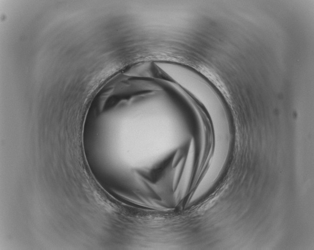 X0000088890481200706291443