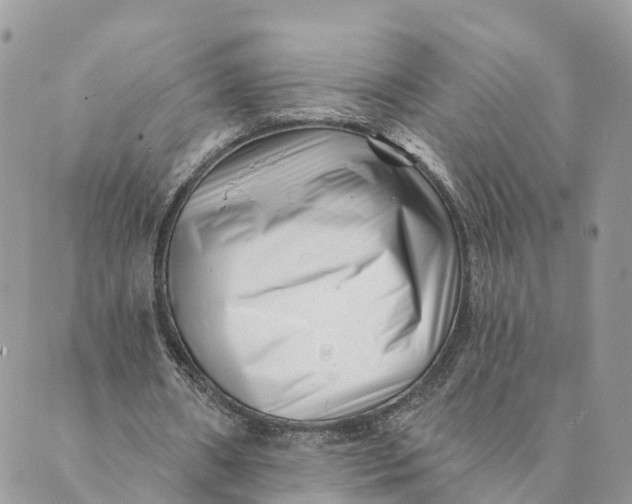 X0000088890482200706291443