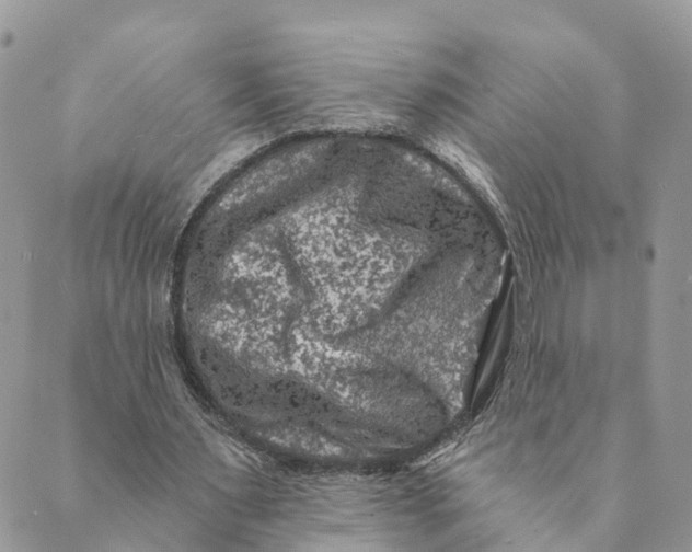 X0000088890483200706291443