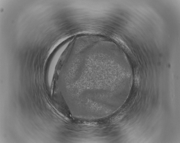 X0000088890484200706291443