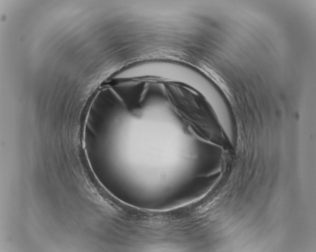 X0000088890485200706291443