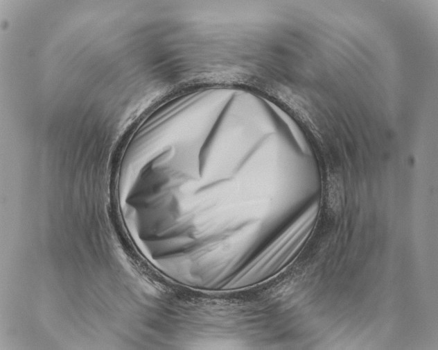 X0000088890486200706291443