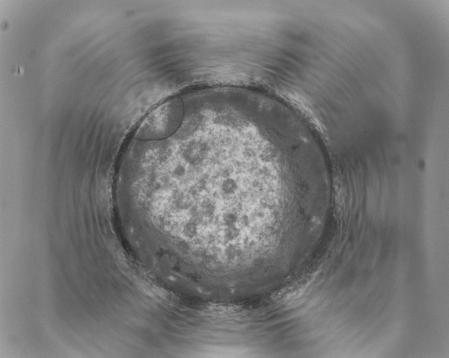 X0000088890487200706291443