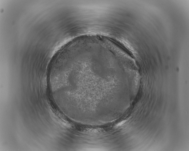 X0000088890488200706291443