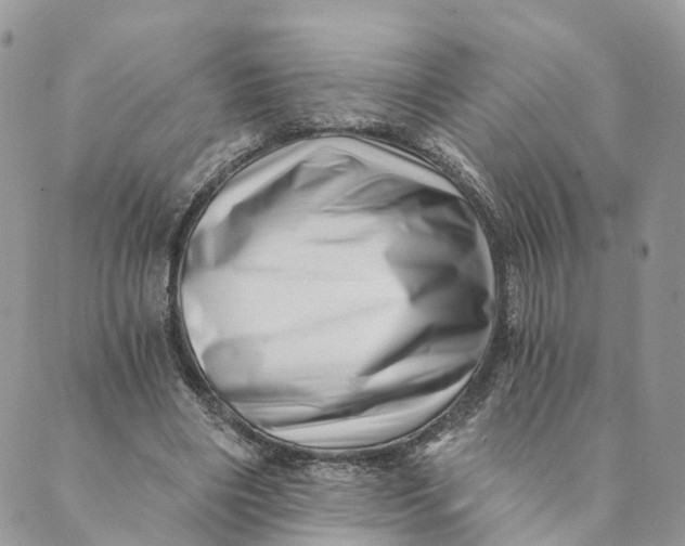 X0000088890490200706291443