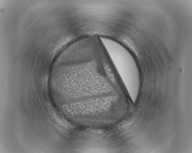 X0000088890491200706291443