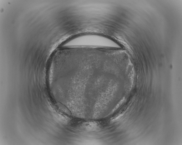 X0000088890492200706291443