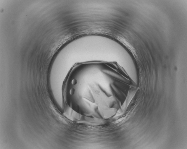 X0000088890493200706291443