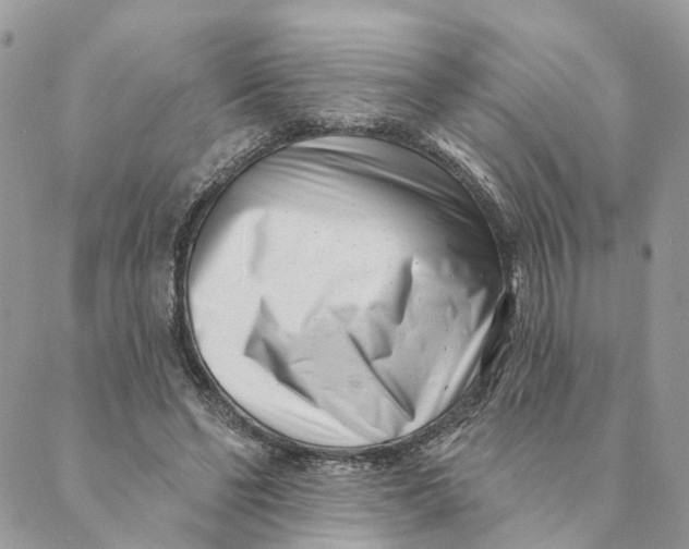 X0000088890494200706291443