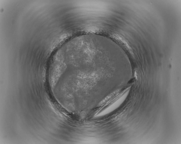 X0000088890496200706291443