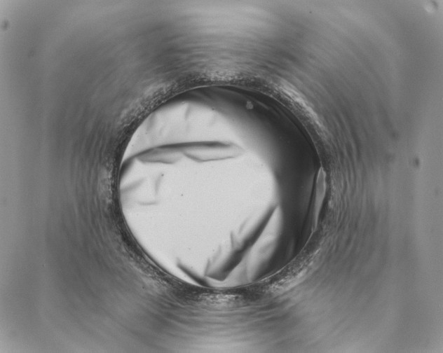 X0000088890497200706291443