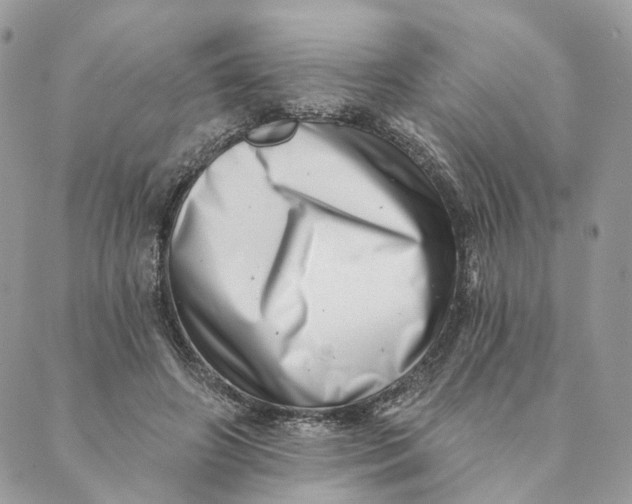 X0000088890498200706291443