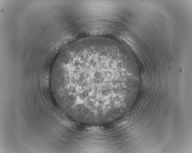 X0000088890499200706291443