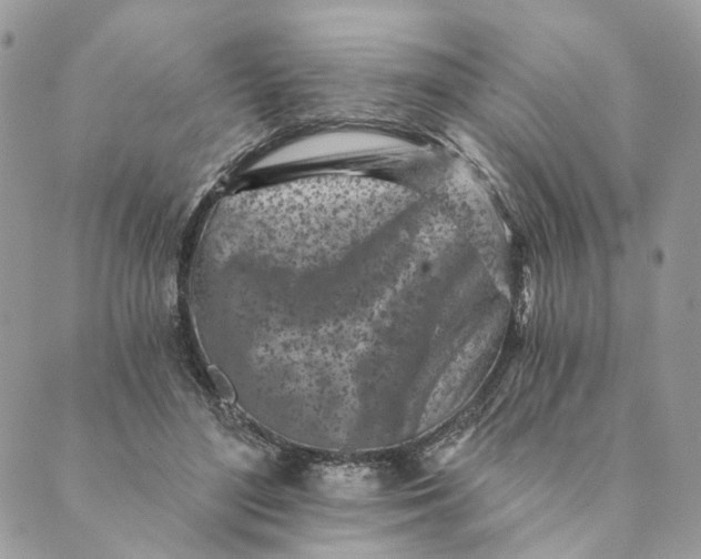 X0000088890500200706291443