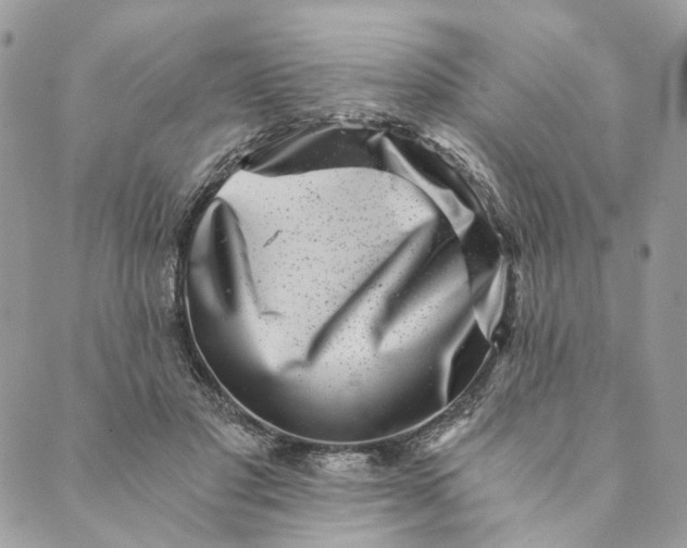 X0000088890501200706291443