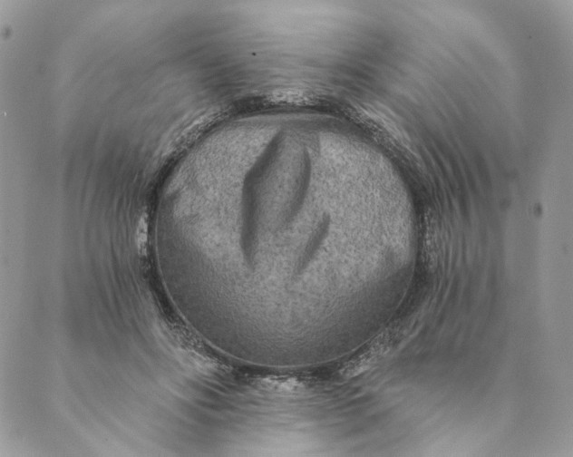 X0000088890502200706291443