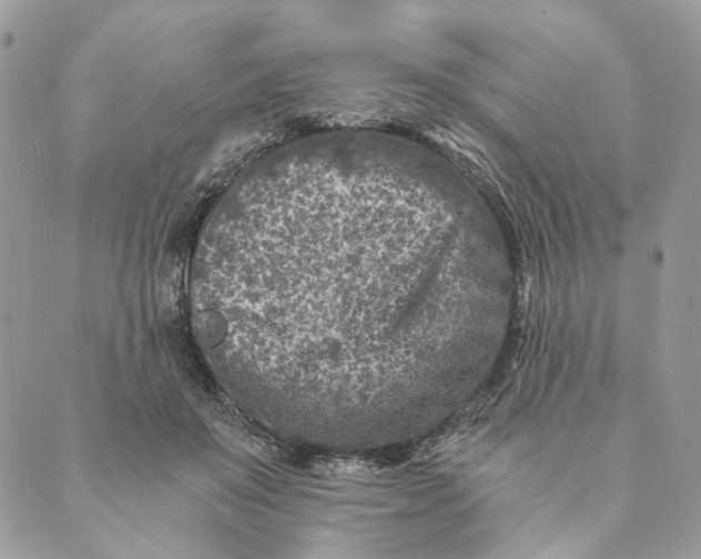 X0000088890503200706291443