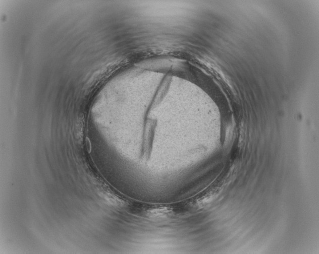 X0000088890505200706291443