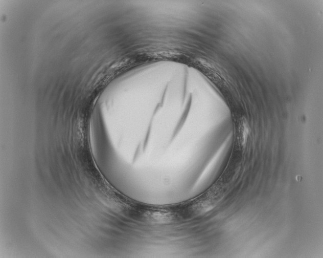 X0000088890506200706291443