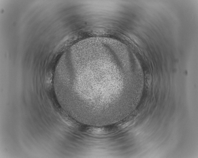 X0000088890507200706291443