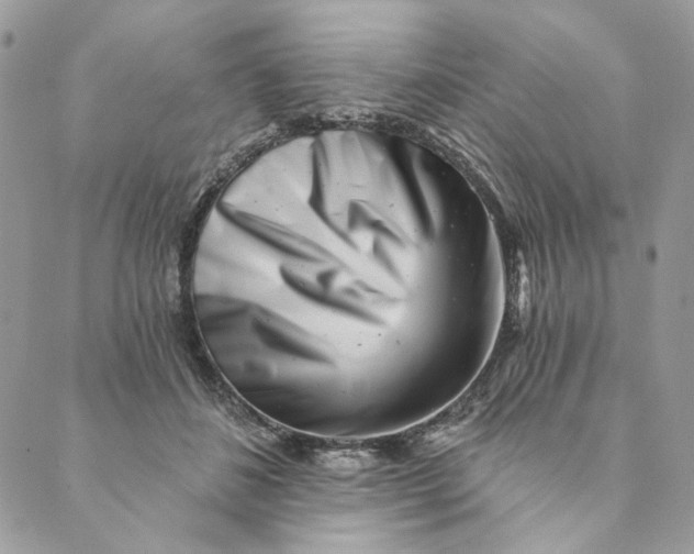 X0000088890508200706291443