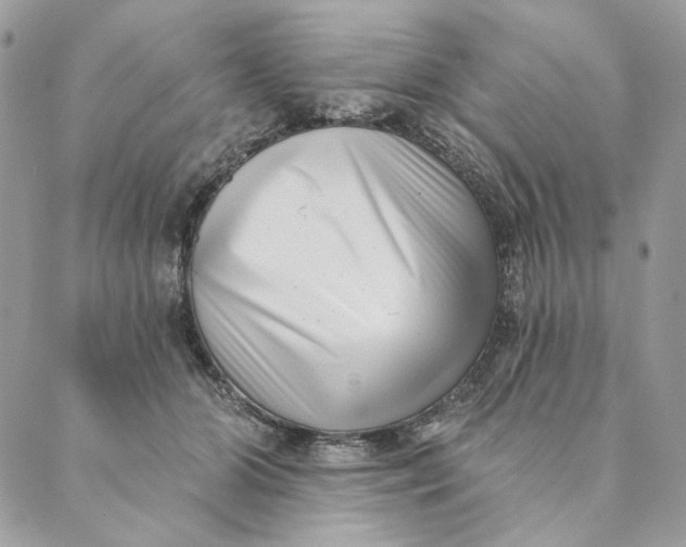 X0000088890510200706291443